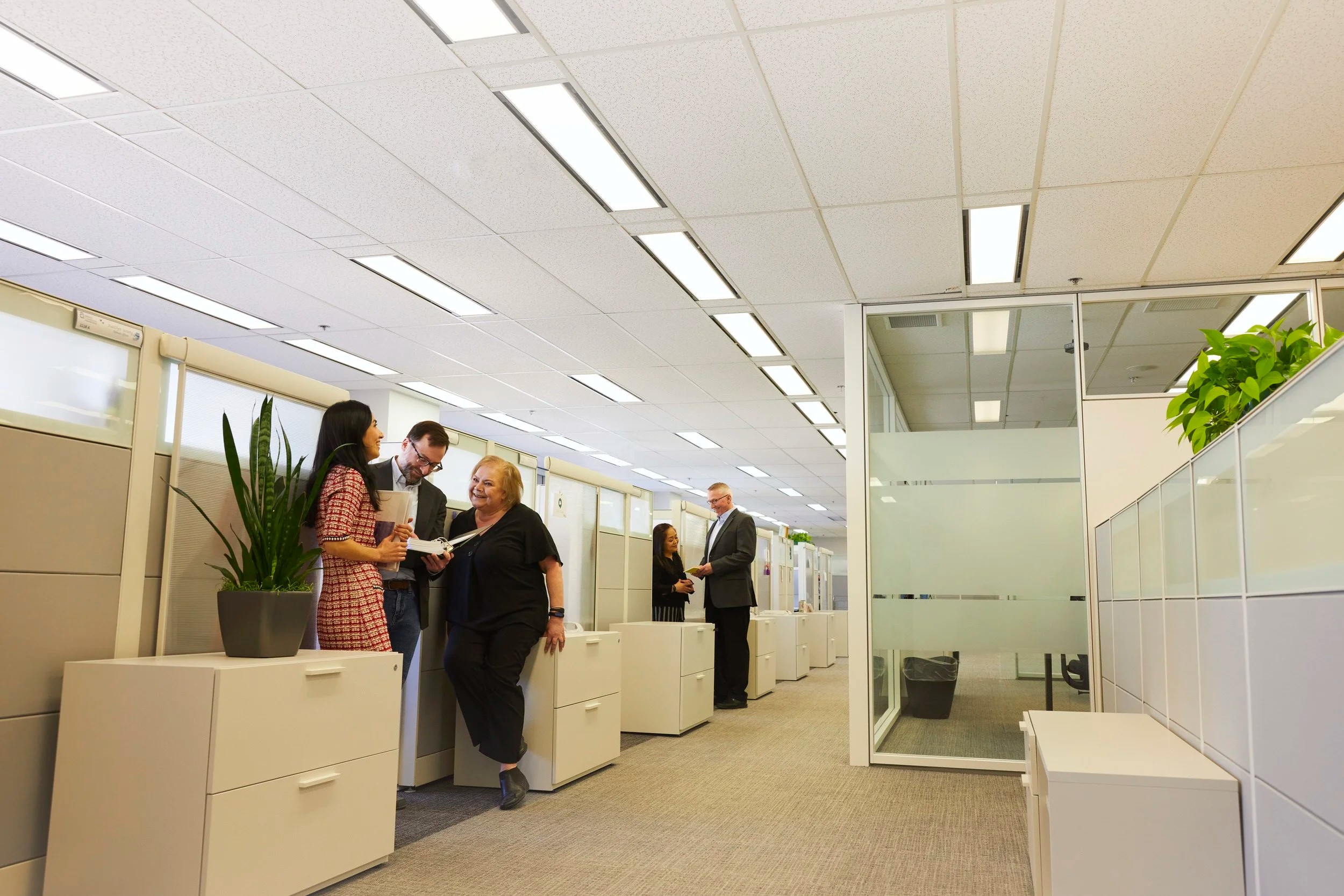 A conversation between the cubicles
