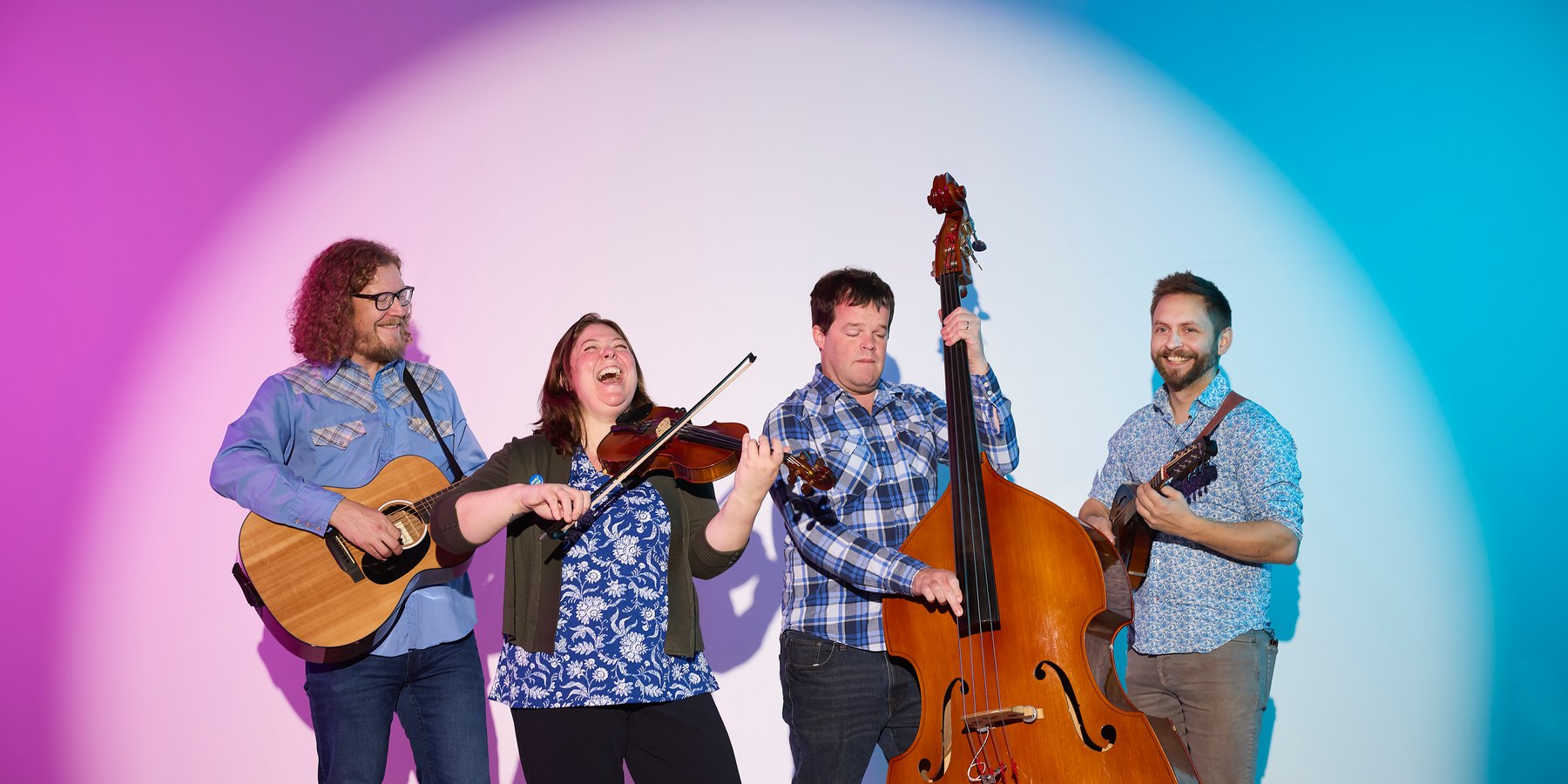 Michelle and Friends — band portrait with guitar, fiddle, upright bass and mandolin in a circle of light, Edmonton