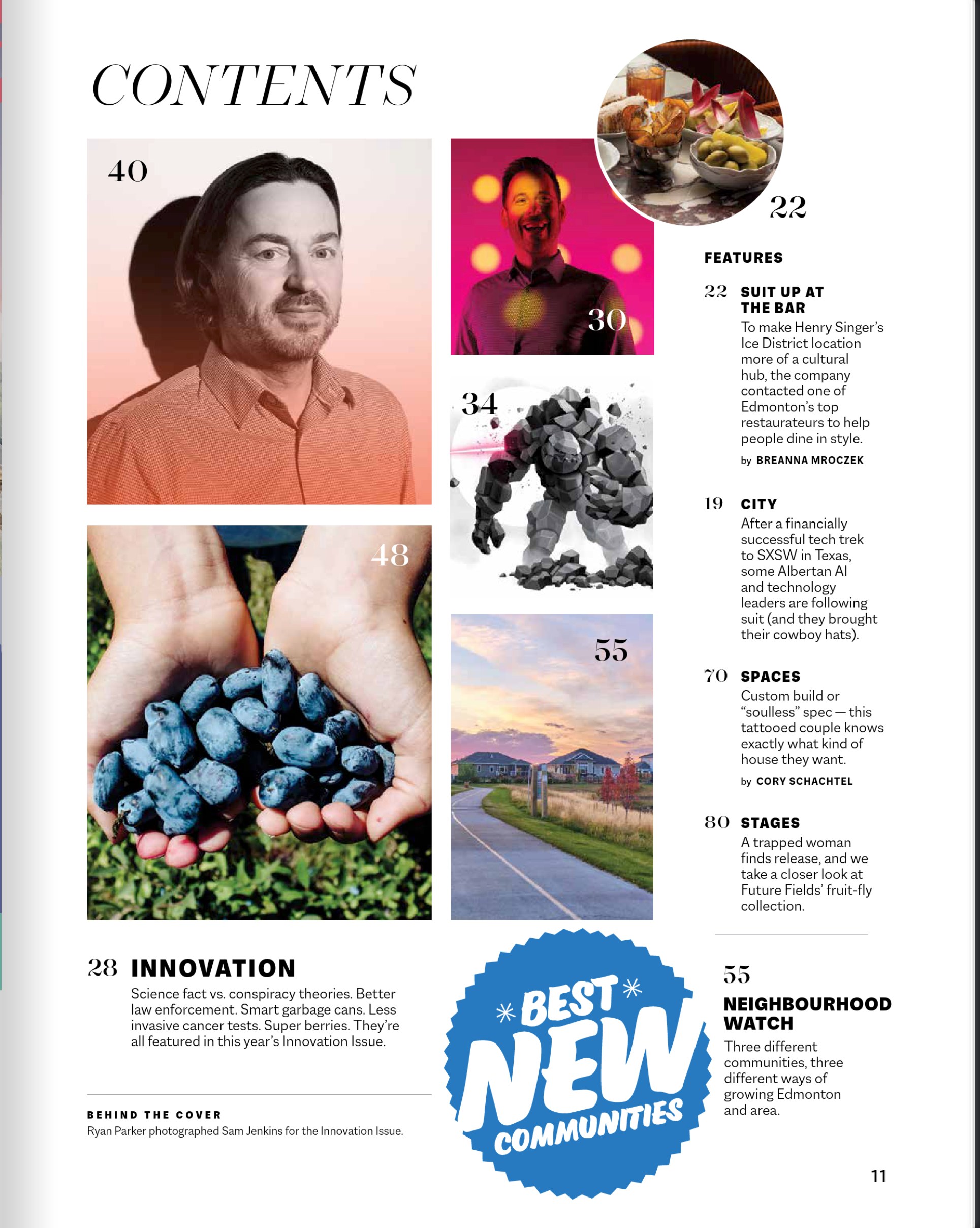 The contents page of the Innovation Issue
